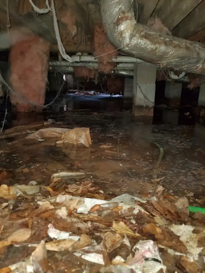 Crawl space flood assessment for Leak Detection & Repair in Fostoria