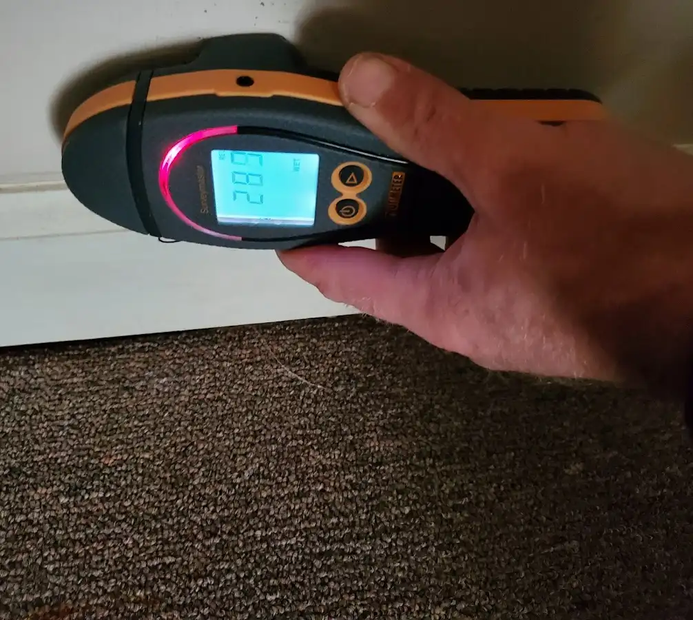 Moisture detection at baseboard during Mold Inspection & Testing in Fostoria